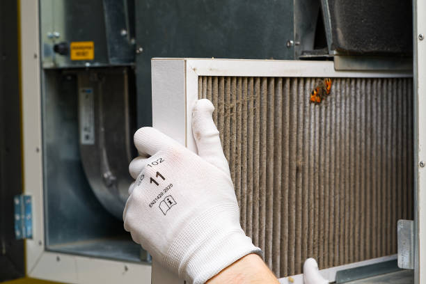 Best Residential Air Duct Cleaning  in Marysville, CA
