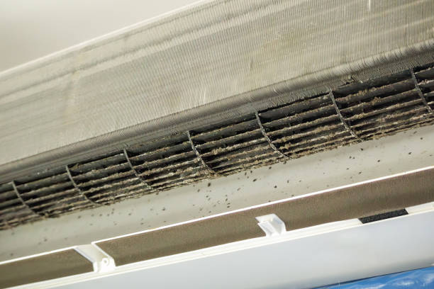 Best Air Vent Cleaning Services  in Marysville, CA
